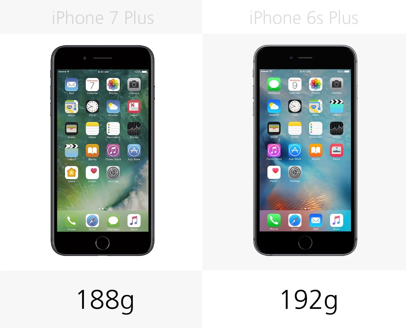 Weight