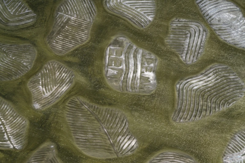 Salt Leafs: Commended in the Abstract category