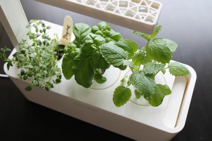 Click and Grow's Smart Herb Garden aims to help people grow herbs at home with a minimum of effort