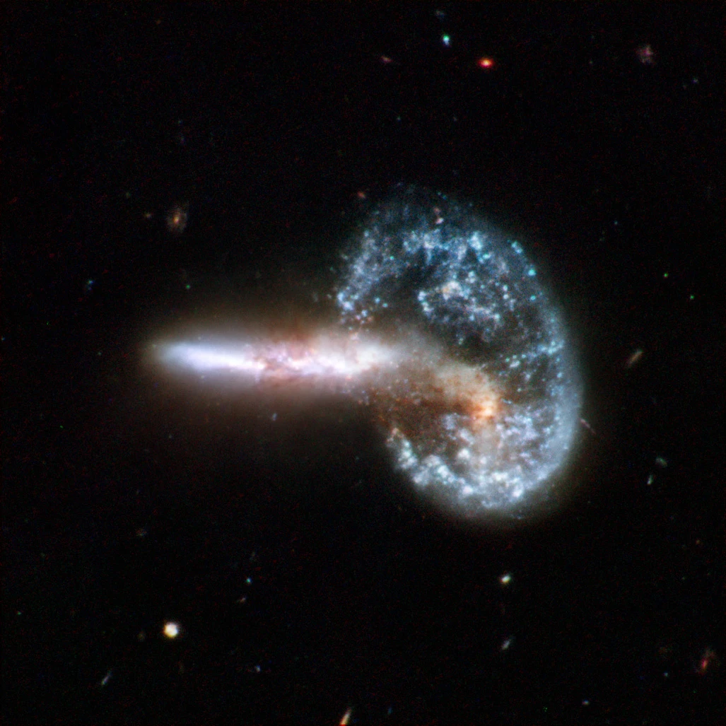 Arp 148 is the staggering aftermath of an encounter between two galaxies, resulting in a ring-shaped galaxy and a long-tailed companion. The collision between the two parent galaxies produced a shockwave effect that first drew matter into the centre and then caused it to propagate outwards in a ring (Credit: NASA, ESA, the Hubble Heritage Team (STScI/AURA)-ESA/Hubble Collaboration and A. Evans (University of Virginia, Charlottesville/NRAO/Stony Brook University), K. Noll (STScI), and J. Westphal (Caltech)