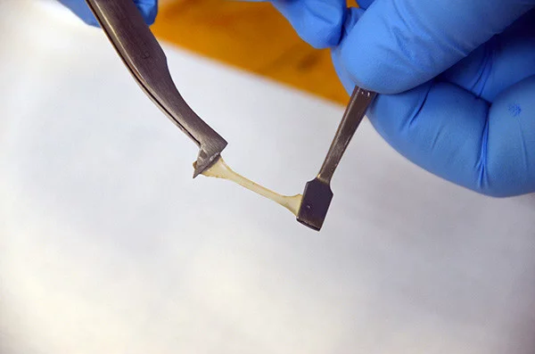 A sample of the self-healing polymer