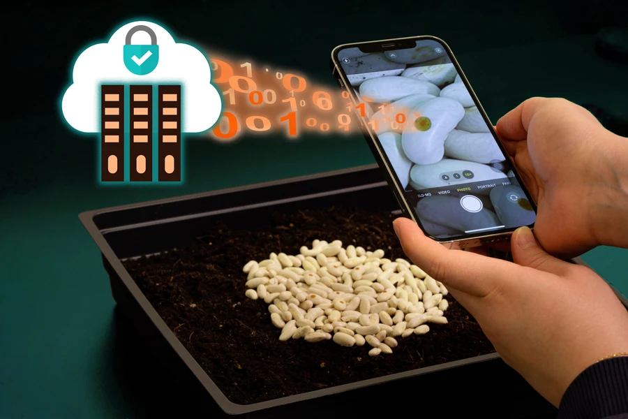 Seed tags could be imaged with a smartphone, then matched against the seed company's online database