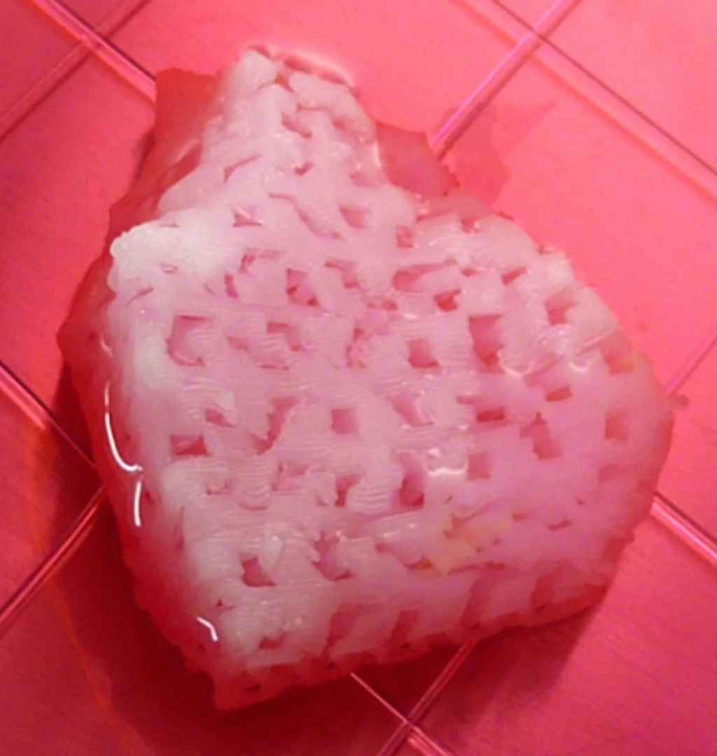 The researchers will continue to explore the bioprinting to track longer term results