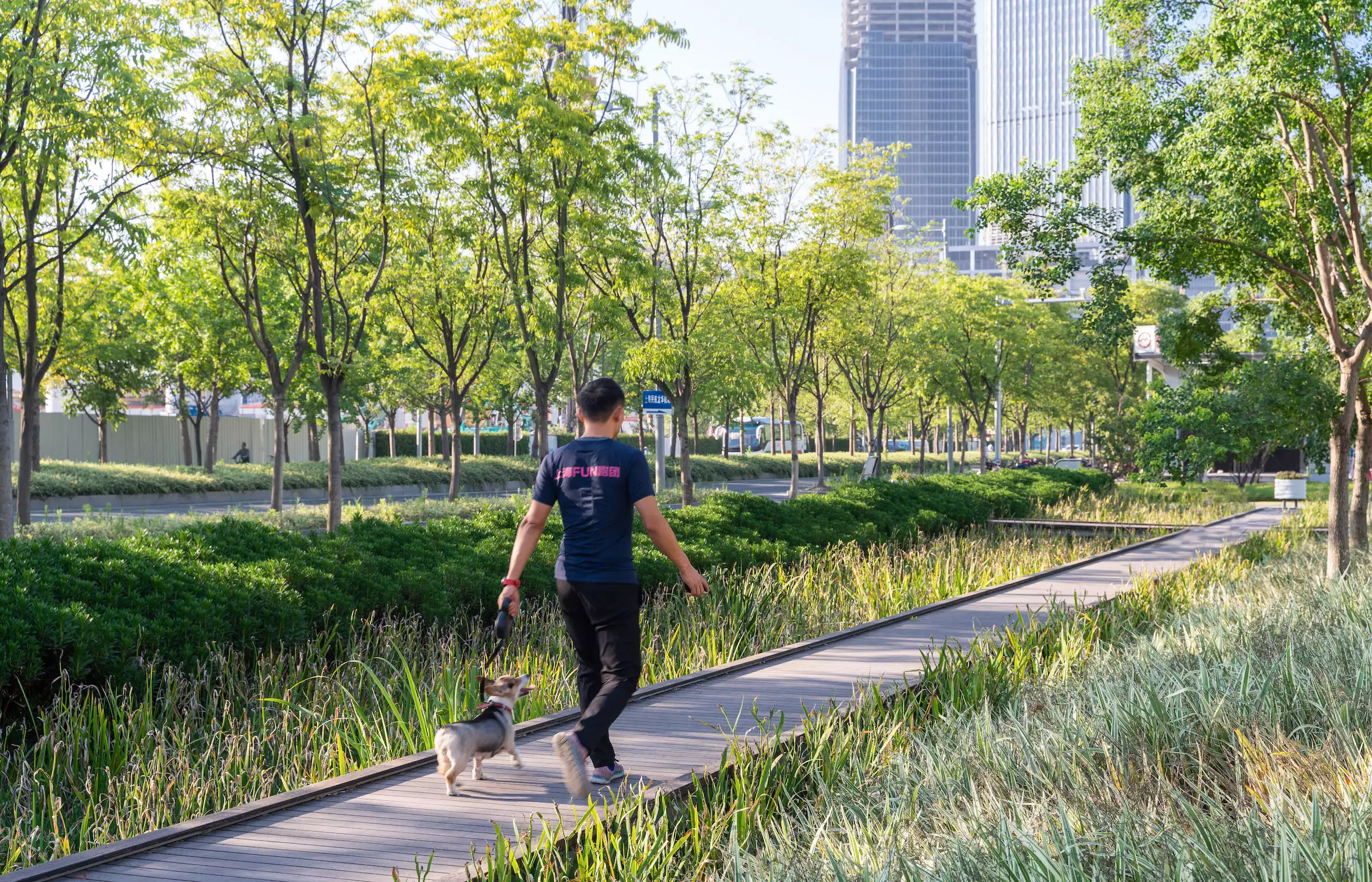 The Xuhui Runway Park includes a birdwatching grove, butterfly garden, and other wildlife areas