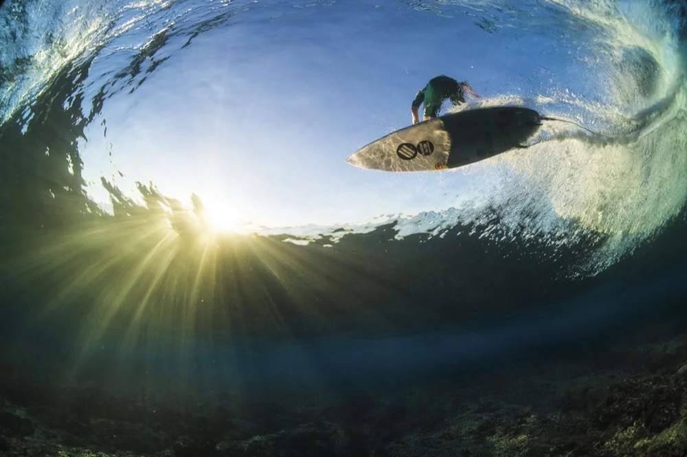 From the 2017 shortlist of finalists