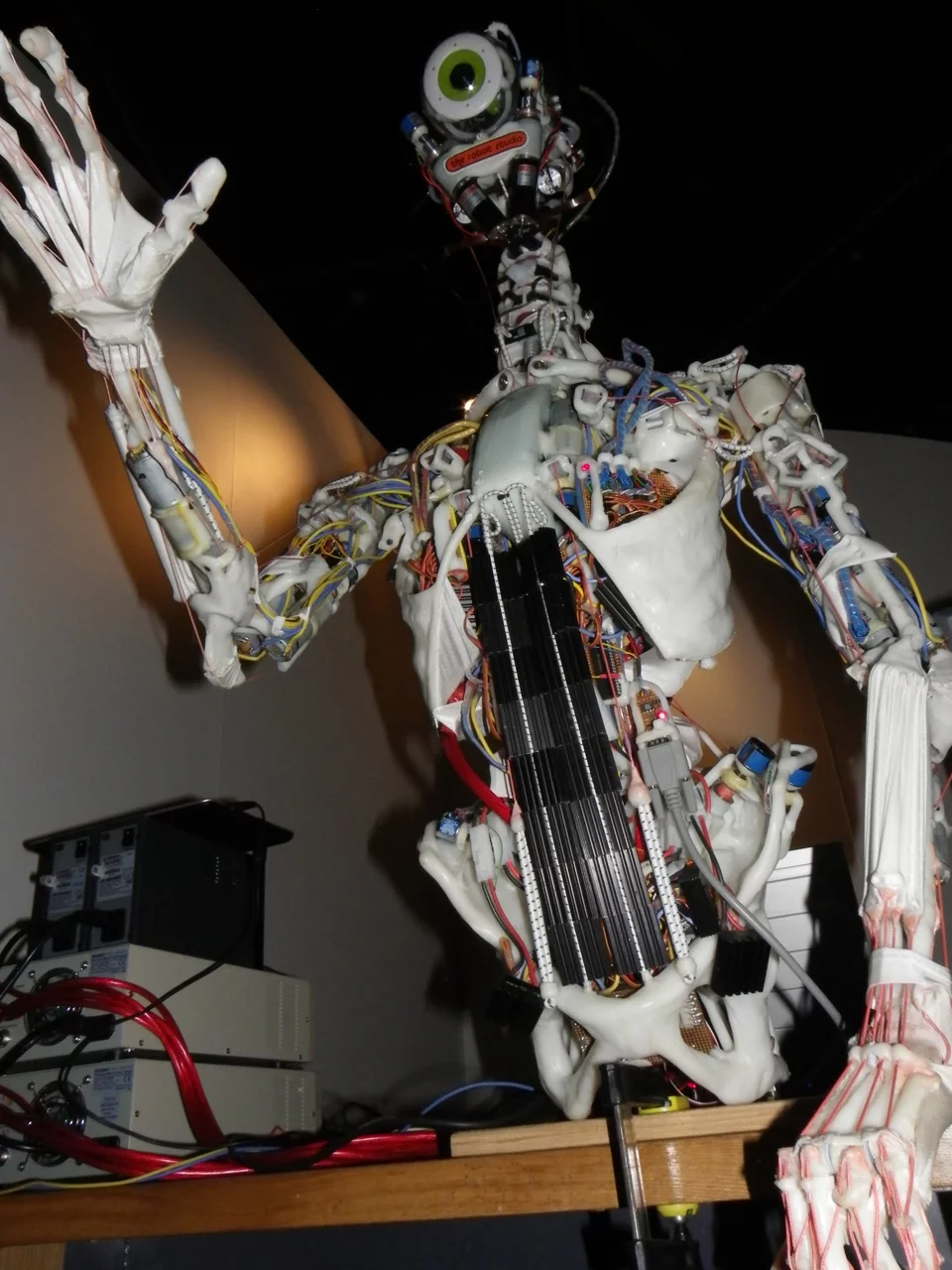 Eccerobot's components recreate human anatomy in impressive working detail (Photo: Gizmag)