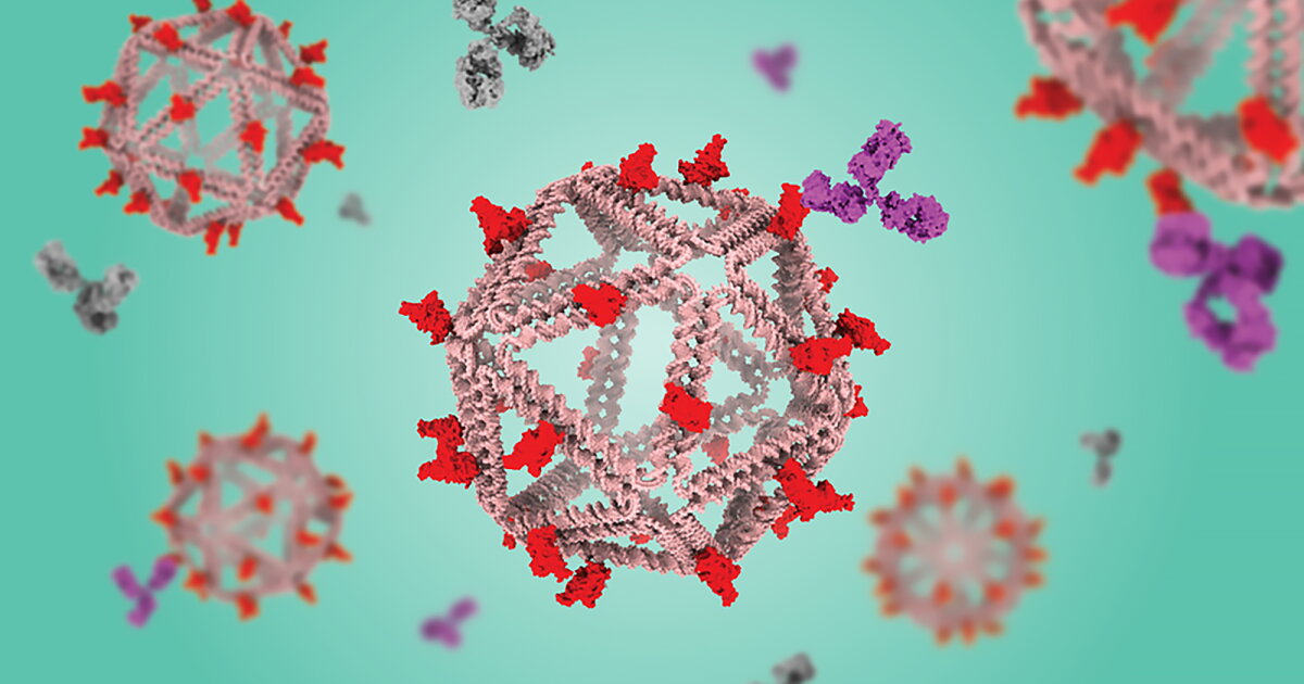 Without Immunity Virus-mimicking DNA particles deliver vaccine without immune side effects