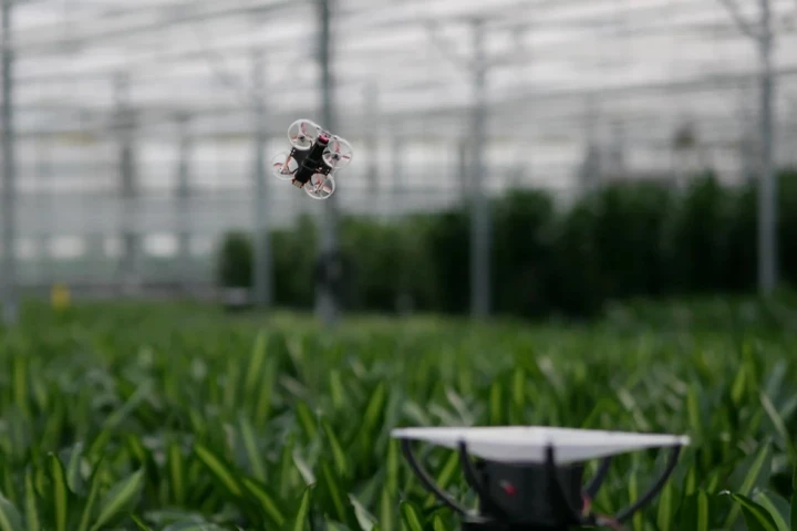 A PATS-X drone heads out to kick some flying-insect butt