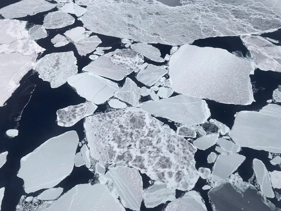 Broken sea ice floes