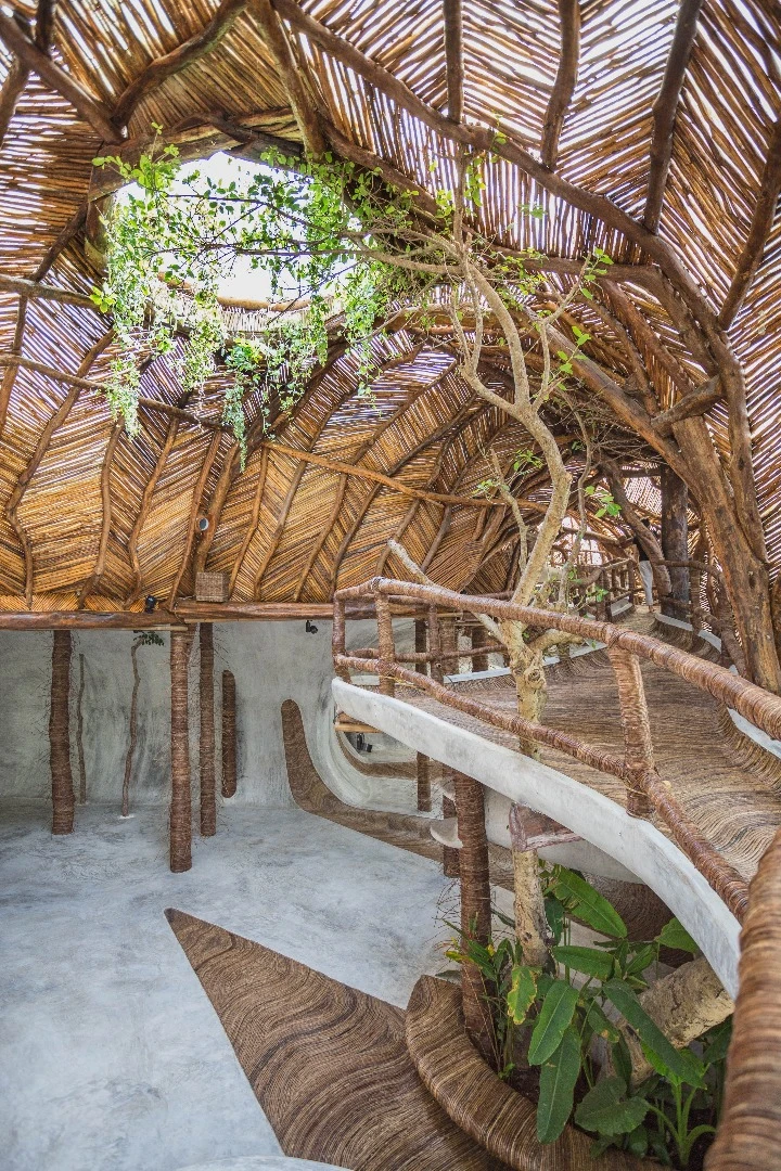 Large circular windows let loads of light into the IK Lab in Tulum, Mexico