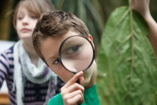 Inside the Eden Project’s Humid Tropics Biome