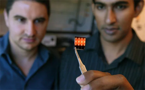 Princeton engineers Michael McAlpine and Manu Mannoor with a frog peptide chip (Photo: Frank Wojciechowski)