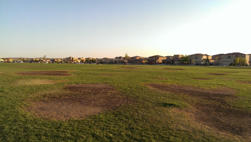 Unedited (but downscaled for the web) sample shot from the One's rear camera