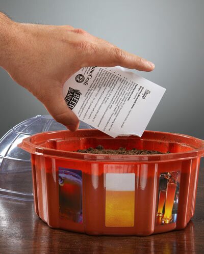 The Grow Your Own Beer Garden kit