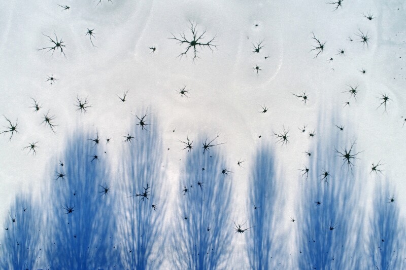 Santa: Commended in the Abstract category