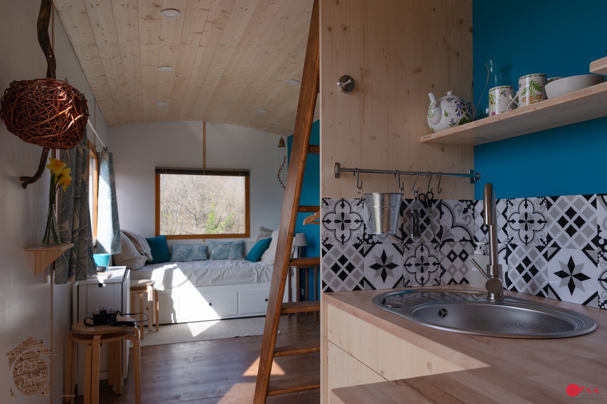 The Head in the Stars Professional's living room is relatively spacious