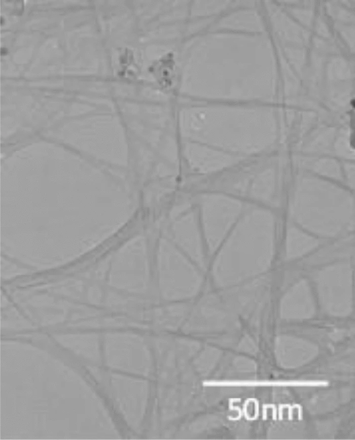 Transmission electron microscope picture of dispersed carbon nanotubes (Photo: Tohoku University)
