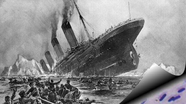 Researchers have discovered a new form of micro-organism munching away at the hull of the RMS Titanic, and named it Halomonas titanicae