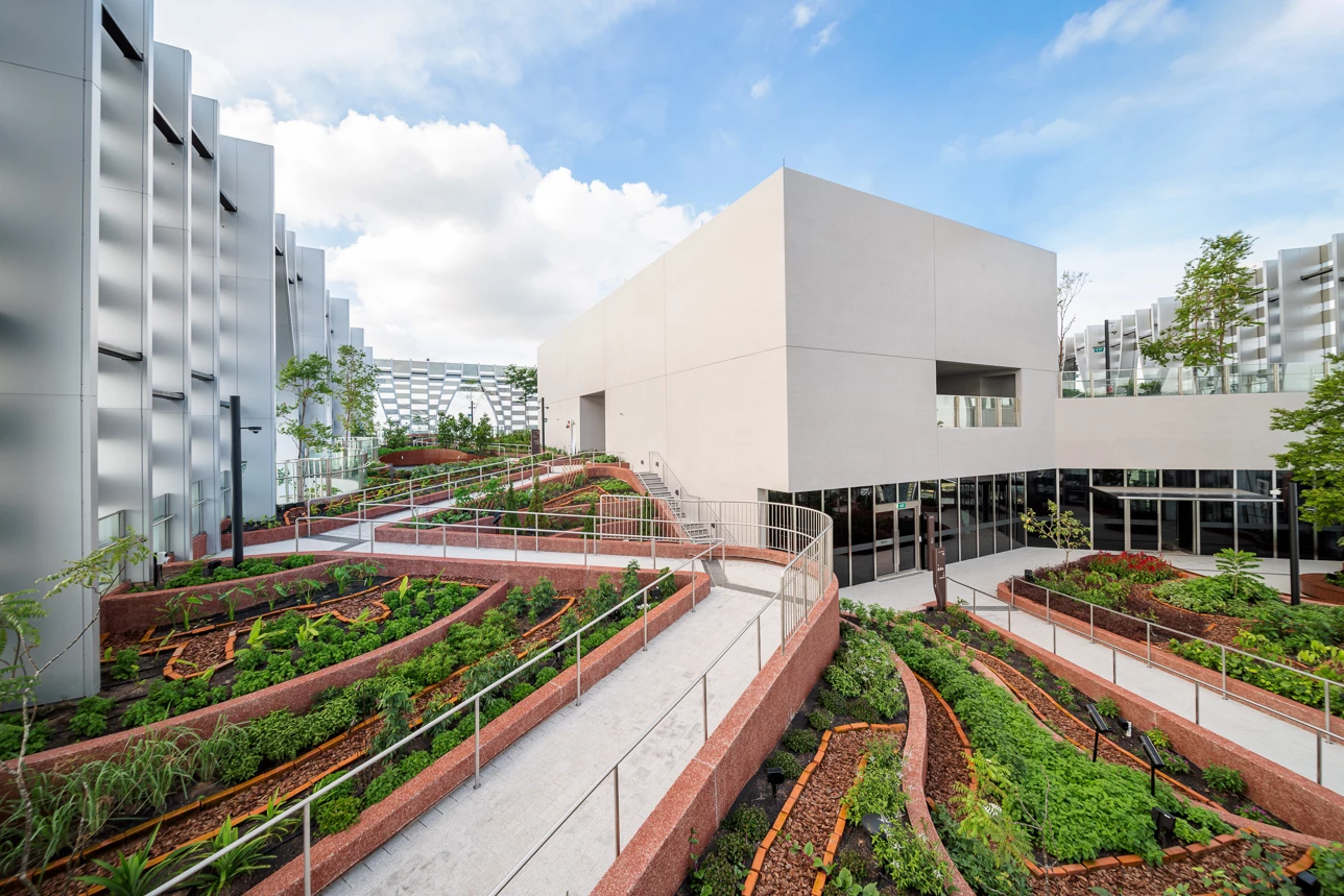 As well as an observation point, CapitaSpring's uppermost floor hosts a large urban farm