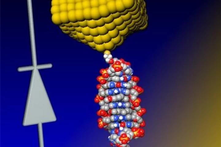 A group of researchers has produced the world's first DNA-based diode