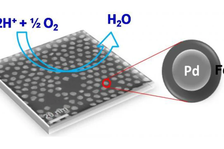 The multi-metallic nanoparticle created for fuel-cell reactions uses a palladium core and an iron-platinum shell (Image: Vismadeb Mazumder & Shouheng Sun, Brown University)