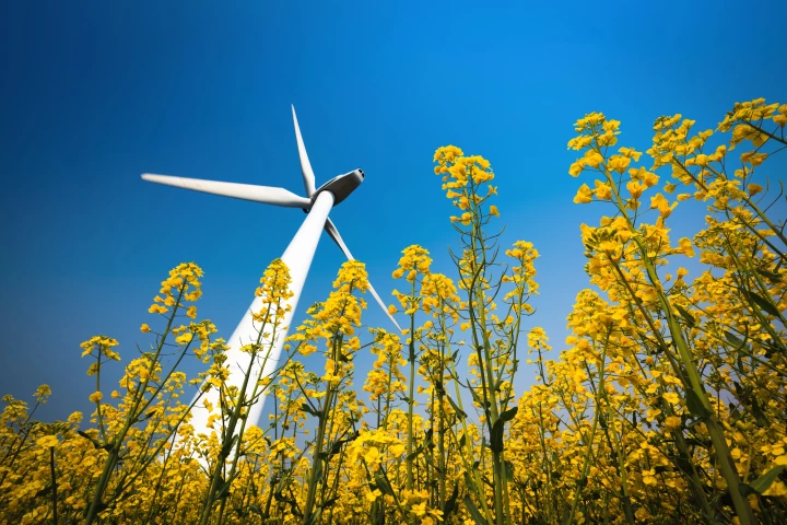 Wind turbines may be a symbol of the green energy movement, but their expired blades are usually just dumped in landfills