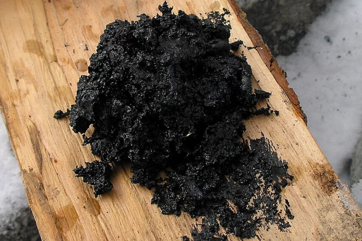 birch tar