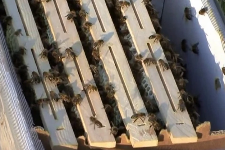 Open-source beehives can be downloaded and printed using a CNC router (Photo: Open Source Beehives)