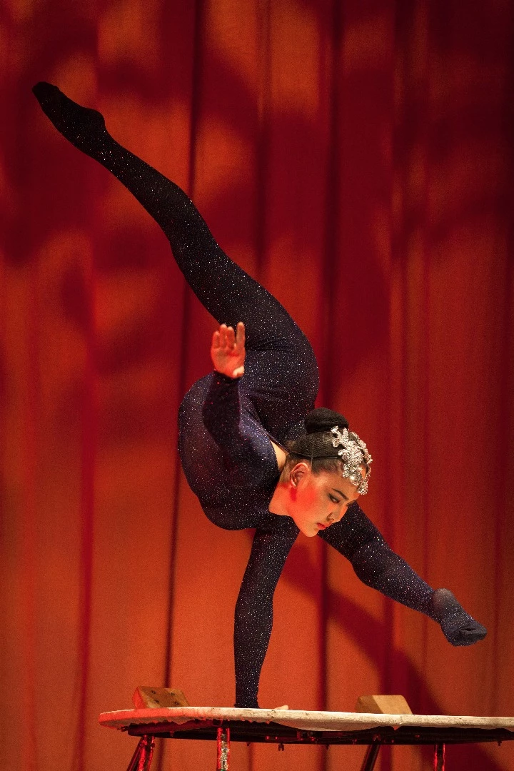 Mongolian National Song and Dance Academic Ensemble, Ulaanbaatar - adult contortionist