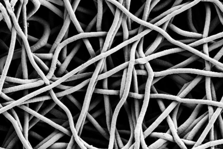 Might Professor Grinstaff's superhydrophobic material one day form the basis of implants that could release medication gradually over a period of months?