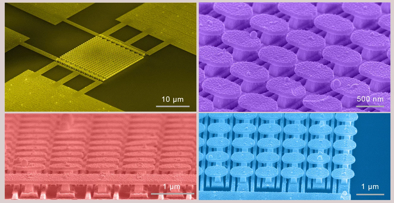 The metasurface created by the UC San Diego team is created from an array of gold mushroom-shaped nanostructures mounted on a matrix of gold strips and built on top of a silicon wafer with a layer of silicon dioxide separating the two levels