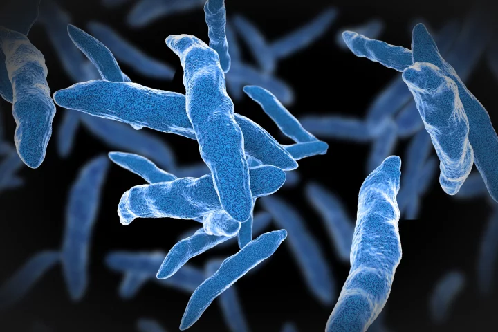 A new test promise rapid diagnosis of tuberculosis from a finger-prick blood test