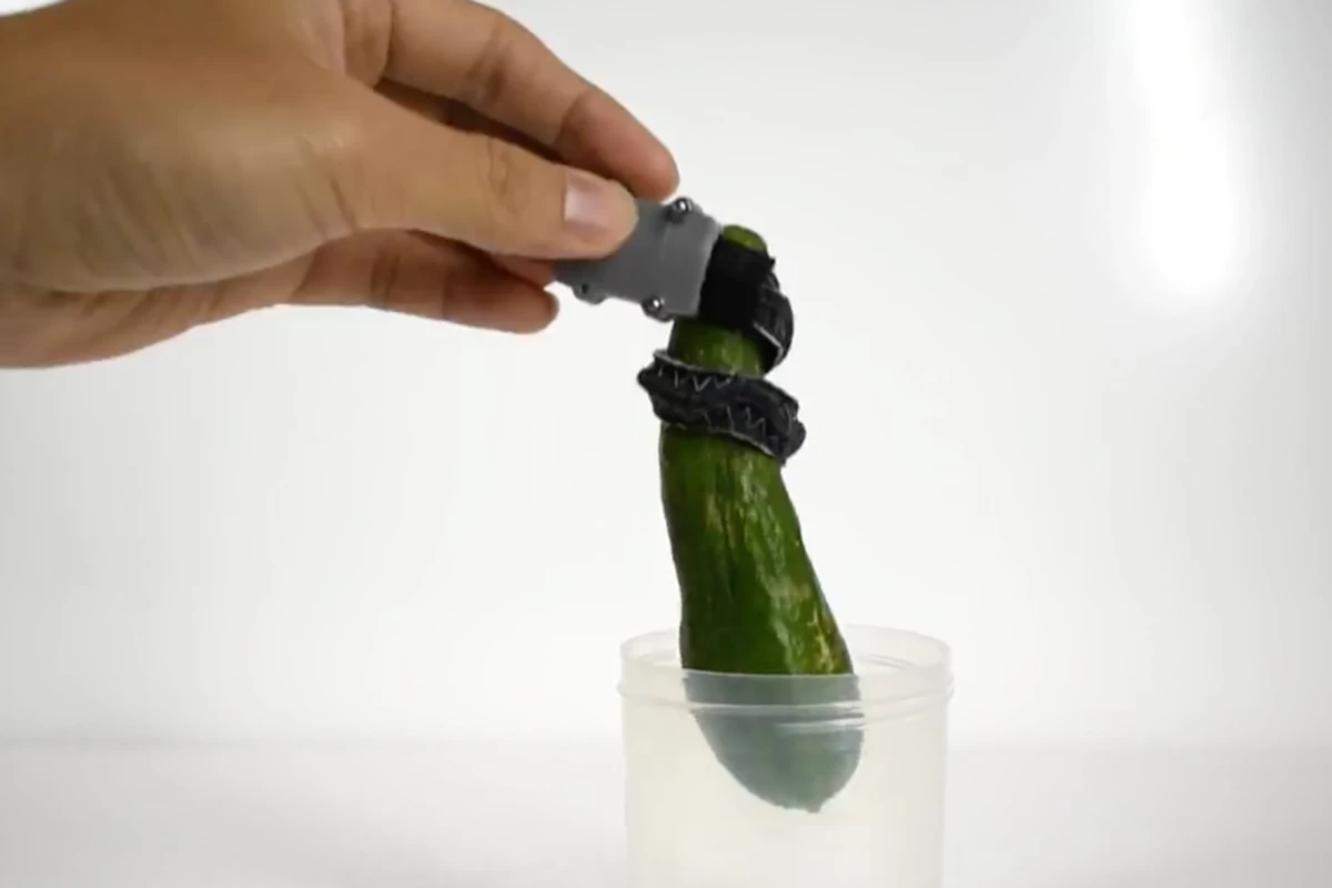 A new type of robotic gripper is able to grasp objects like an elephant's trunk