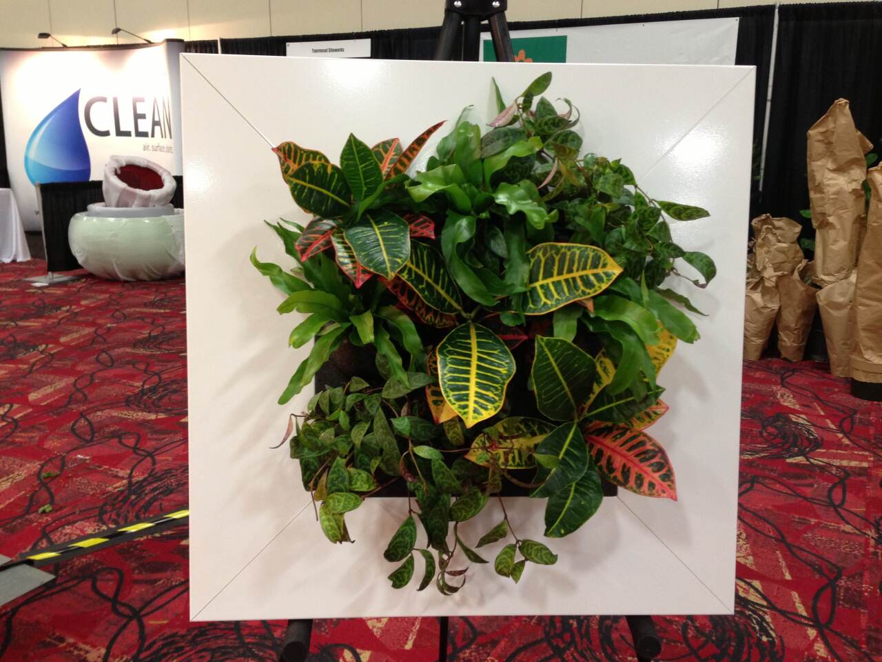 The VanGrow version of LivePicture from Suite Plants