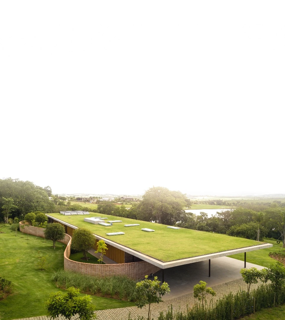 Planar House is defined by its massive concrete roof, which is covered in greenery