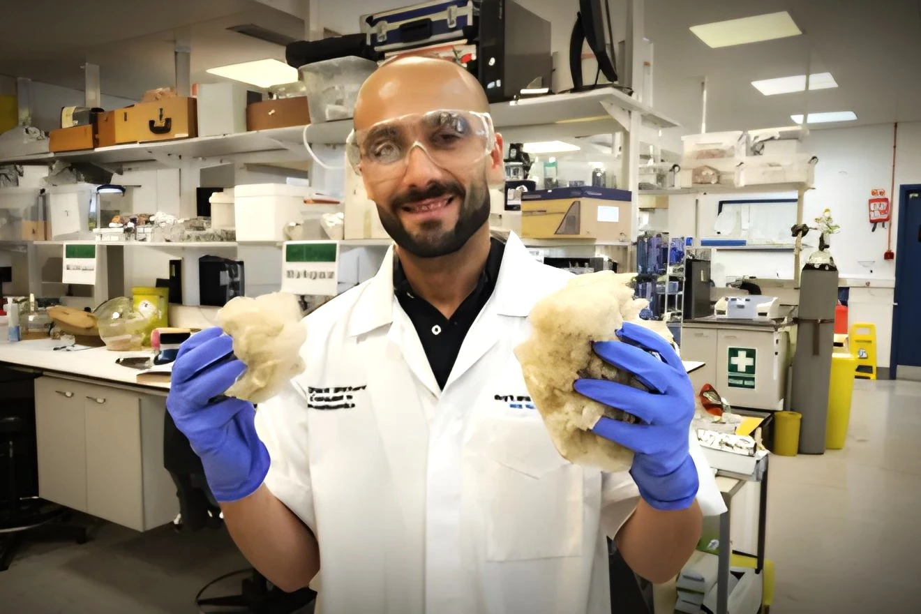 Senior study author Sherif Elsharkawy holding wool, which was used as the source of keratin in the study
