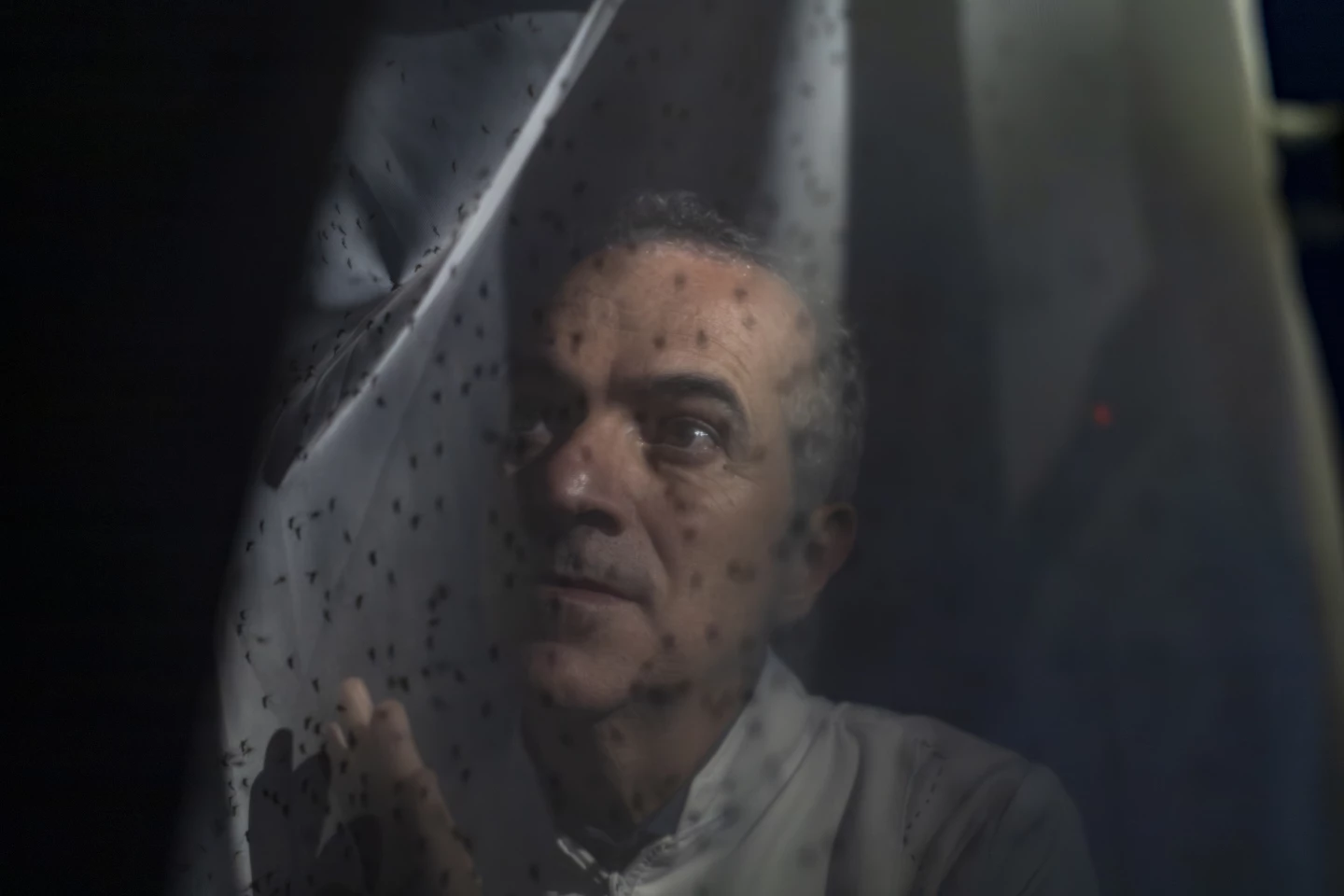 Mosquito king Luciano Moreira is leading the fight against mosquito-borne disease in Brazil