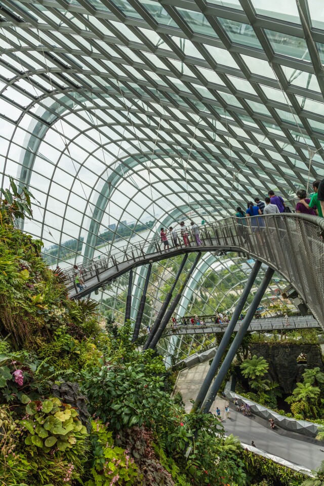 Gardens by the Bay – Cloud Walk skyway (Photo: Loz Blain)