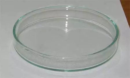 The traditional Petri dish