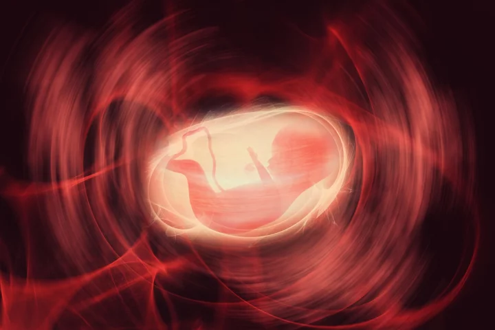 Stresses in the placenta could be key in triggering the onset of a variety of neurodevelopmental disorders including schizophrenia