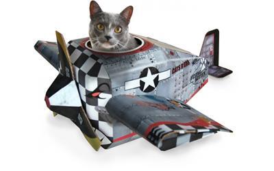 Cat Playhouse Plane