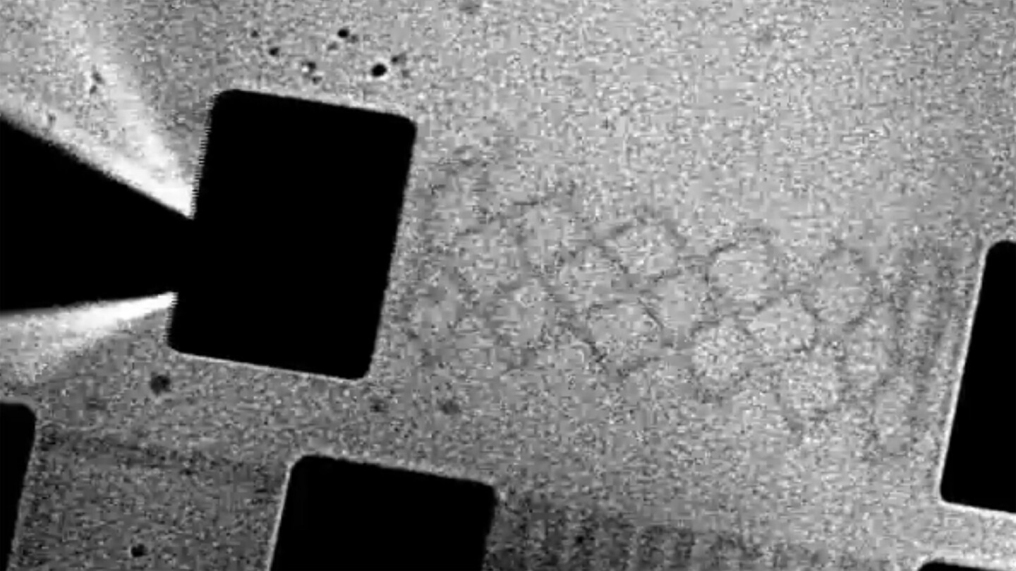 The team suspended the graphene in water and added surfactants – compounds that lower surface tension – to make the material more slippery, and easier to contort as desired