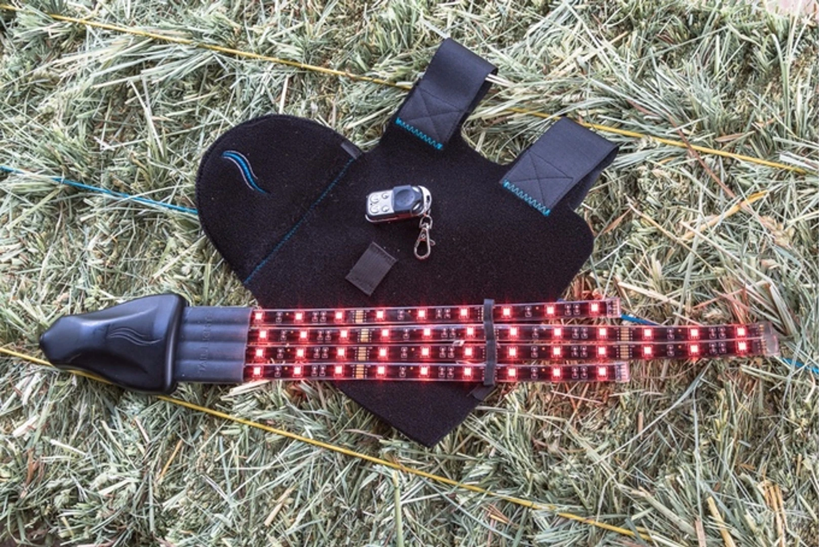 The Tail Lights System set for red