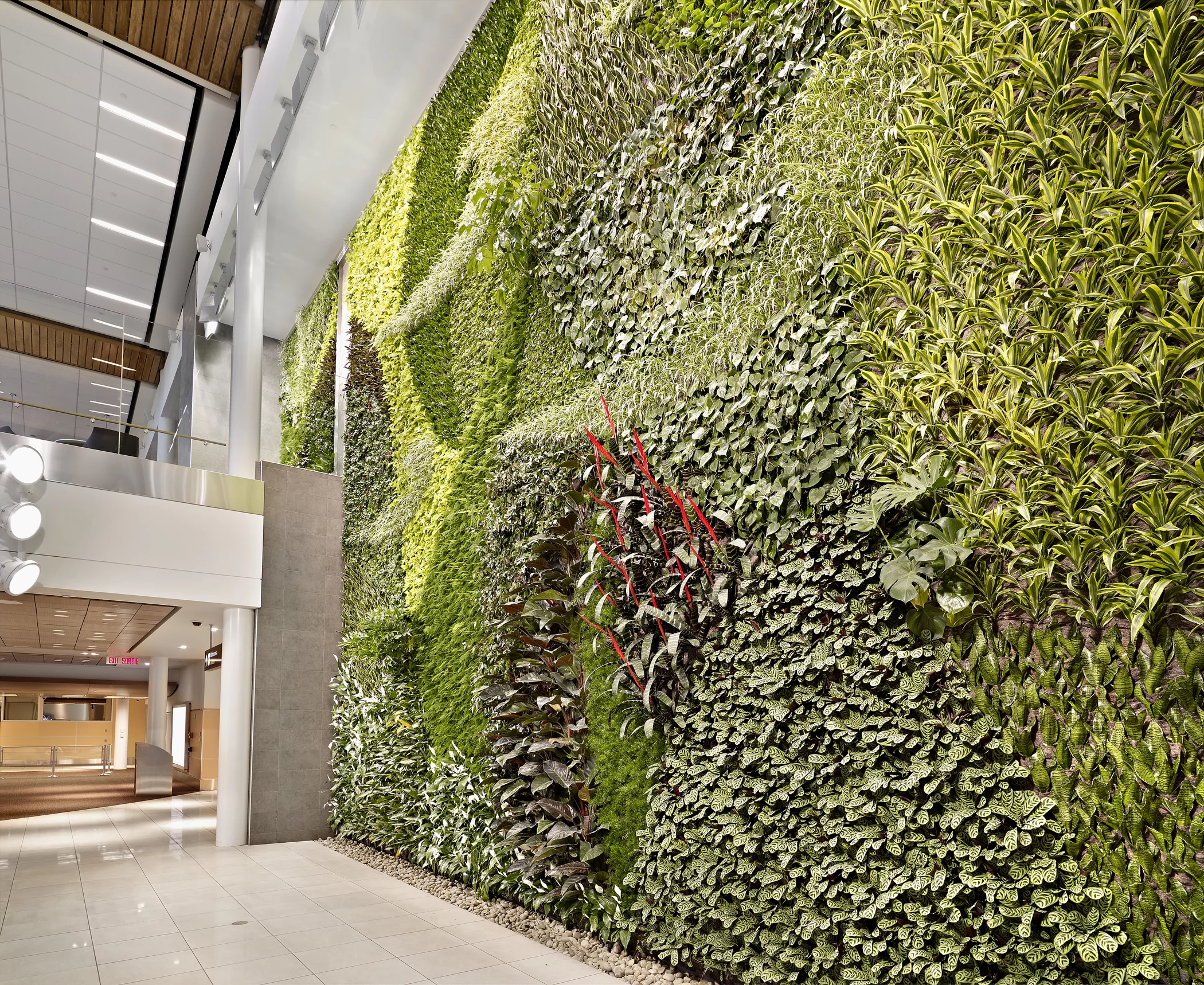 Edmonton International Airports Living Wall (Photo: Merle Prosofsky)