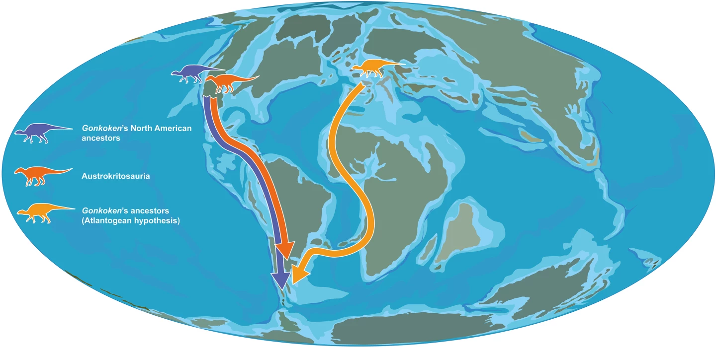 Scientists did not expect to find an ancient species like this so far south, and there are many theories as to just how they continent-hopped