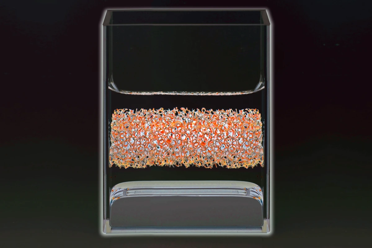 By playing around with materials, researchers have reduced the operating temperature of an all-liquid battery to 450-500° C (842-932° F) (Image: Felice Frankel)