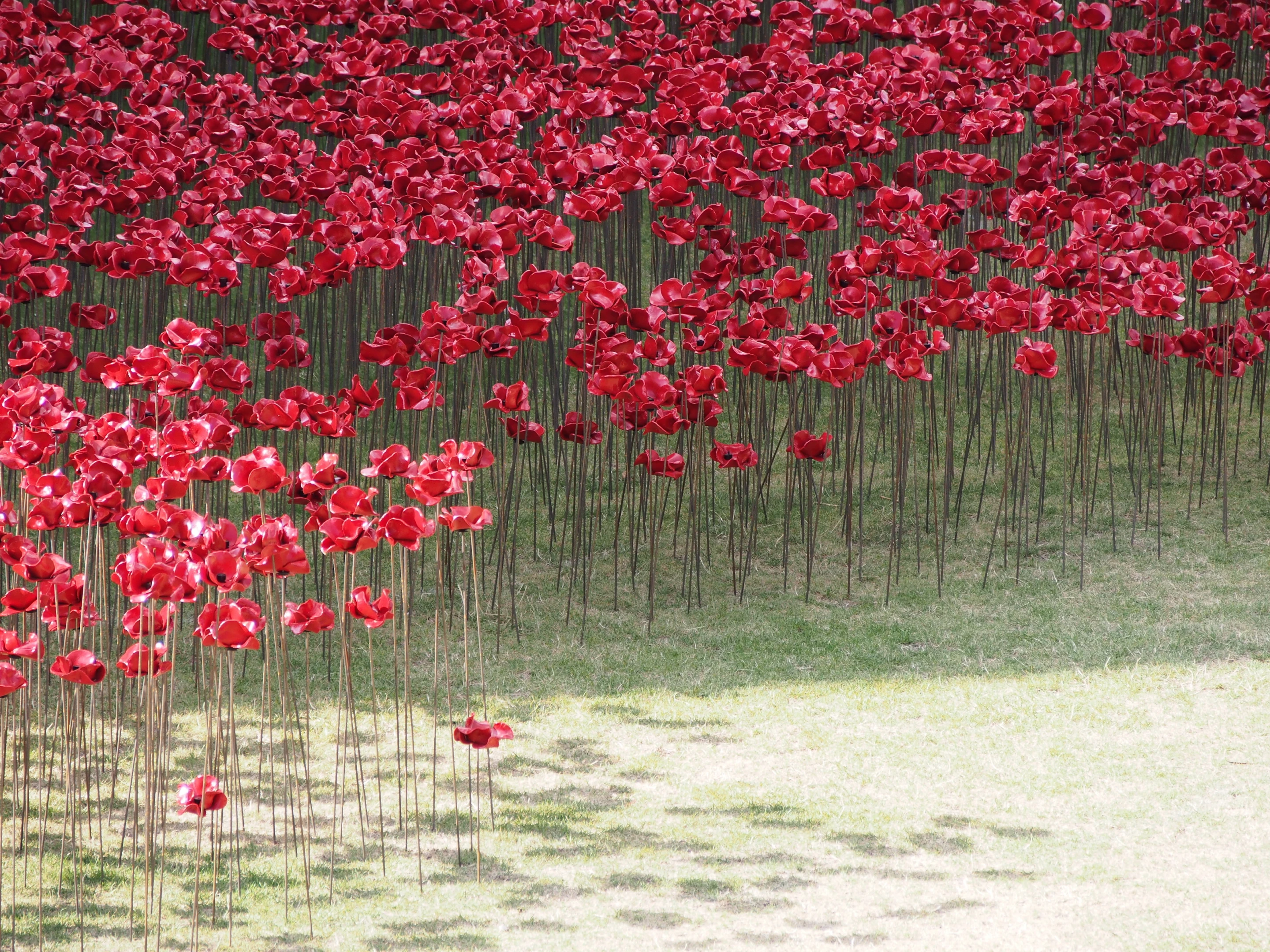 The installation was created by ceramic artist Paul Cummins and arranged by stage designer Tom Piper (Photo: Adam Williams/Gizmag)