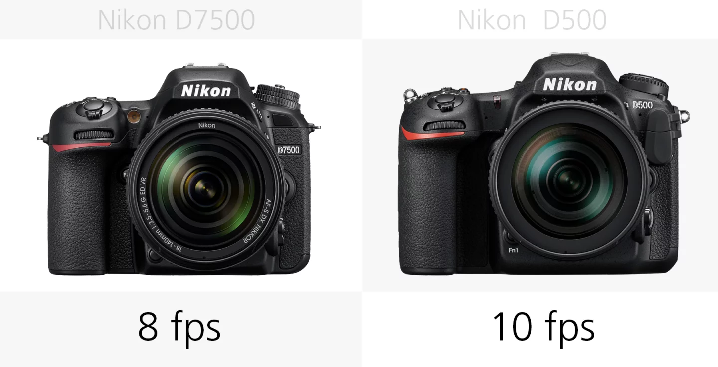 The burst shooting speed of the Nikon D7500 and Nikon D500 compared