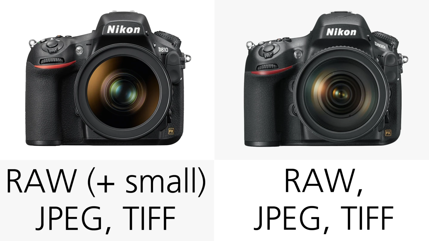 Nikon has added the option of shooing RAW Small files to the D810