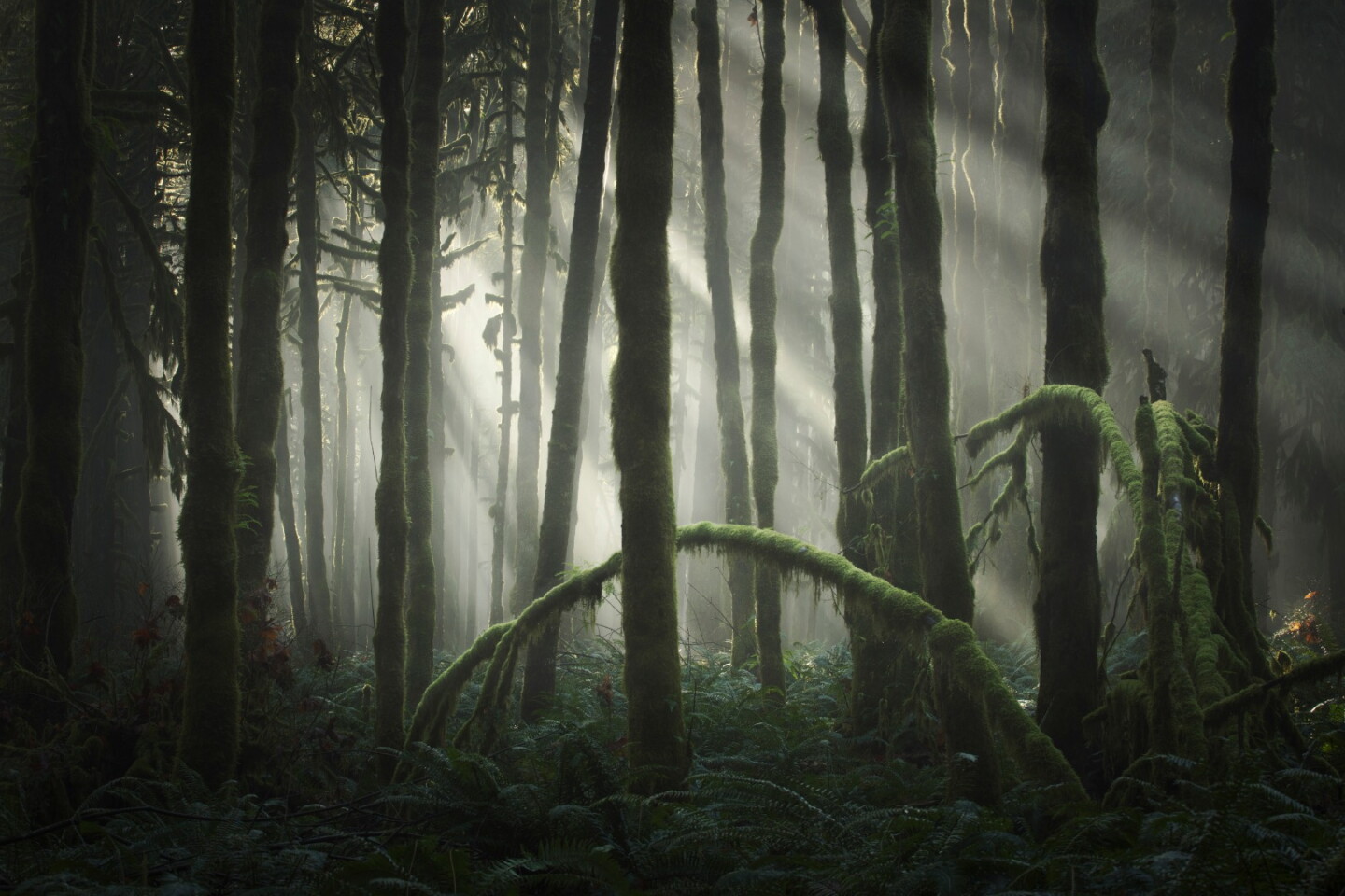 Majestic Views The Winners Of The International Landscape Photographer Of The Year Awards